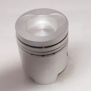 Piston Spare Parts Drilling Tools Accessories for Drill Rig Origin China Trademark BAOLEE HS Code 841343100 Material Cast Steel - Zhenjiang Boral Machinery and Equipment Co., Ltd. - China