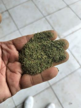 Kratom Mesh 30 & Crush leaf Color Greenish Moisture Content ≤ 8% Type Fine Powder (mesh 30) Origin West Kalimantan, - PT. Dheza Borneo Sejahtera  - Indonesia
