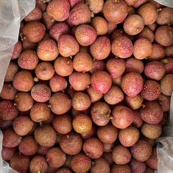 IQF Frozen Lychee Frozen Litchi-Premium Quality - 龙海市格林水产有限公司 - China