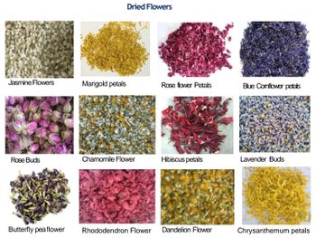 hibiscus - Blue Ocean Enterprises - India