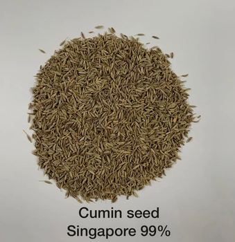 Cumin Seeds Singapore 99 percent variety Delivery Form Sacks - Sadru Foods - India