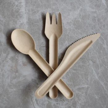 100% Compostable Biodegradable Disposable Tableware Bagasse Sugarcane Dinner Set - Xiamen Luckypack Paper Products Co., Limited - China