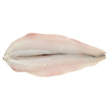 Bulk Frozen Plaice Flatfish Whole Gutted Fillets and Portion Cuts for Retailers and Importers - PILOTEXPORT IMPORT AND EXPORT LTD - South Africa