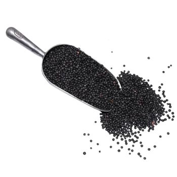 Bulk supply of Black lentils Fresh and rich in protein Black lentils Ideal for wholesale buyers looking for top quality - AGRO AFRIQUE COMPANY LIMITED - Tanzania