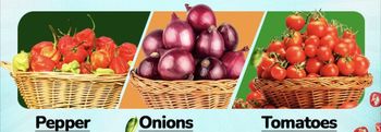 Ginger, chilli pepper, hot habaneros, onions, smoked dry fish and others - Sucephagro  - Nigeria