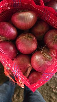 RED ONION – product photo, Dried Red Onion products found from trusted suppliers, wholesalers, manufacturers & exporters Listing