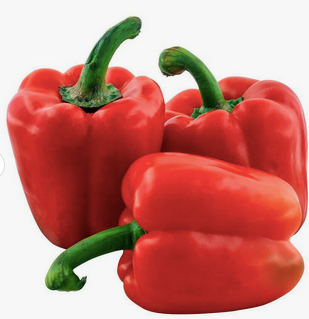 Habanero pepper..Wholesale Fresh Red Chili Pepper Superior High Quality Pepper / Cheap Green Chili Pepper. - Almaa SCS - Belgium