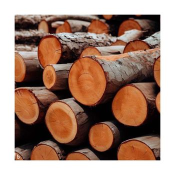 hardwood firewood Wood Type Balsa wood - BMU TRADING GMBH - Germany