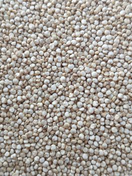 Quinoa Bold Origin Indian - Sterling Spices - India