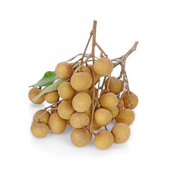 Fresh Longan (Mesh bag) Fruit - 100% Organic High Quality (Certification: GAP, HACCP...) from VIETNAM - NGAN HOA PHAT TRADING SERVICE COMPANY LIMITED - Vietnam