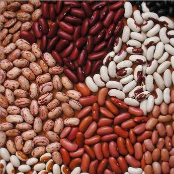Organic Pinto Beans Sugar Beans / Kidney Beans / Red Kidney Beans - HELBER AGRO PRODUCT COMPANY LTD - Kenya