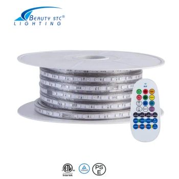 Dimmable110V 120V AC Rope Lights Outdoor IP65 Waterproof Flexible RGB LED Strip Light for Christmas Home Decoration - Beauty (GD) Manufacturing Co., Limited - China