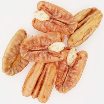Premium Brown Pecans Whole Kernels With Excellent Texture For Food Ingredient Supply And Bulk Export Demand - TOSOH INTERNATIONAL - South Africa