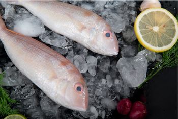 Threadfin Bream - AGOFISH - Vietnam