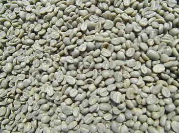 Green coffee beans G-4 from G-Mar Trading Green coffee beans G-4 - G-Mar Trading - Ethiopia