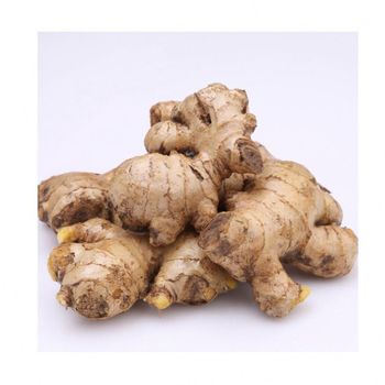 Fresh Ginger Available For Sale Fresh Ginger Large Quantities Premium Quality And Strong Natural Aroma from malter group Fresh Ginger Available For Sale Fresh Ginger Large Quantities Premium Quality And Strong Natural Aroma - malter group - Tanzania