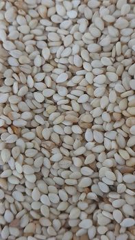 Sesame Seeds - Aloloa Elkhadra for import and export - Sudan