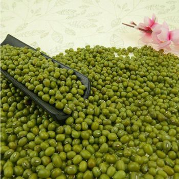 Wholesale GREEN MUNG BEANS Top Prices, Bulk Supply - AGRO AFRIQUE COMPANY LIMITED - Tanzania