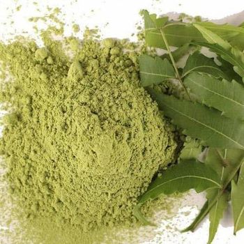 Premium Dried Neem Leaves & Pure Neem Powder (Azadirachta Indica) - 100% Natural & Cleaned Indian Herb for Skincare, Ext - vasudhaiva exports - India