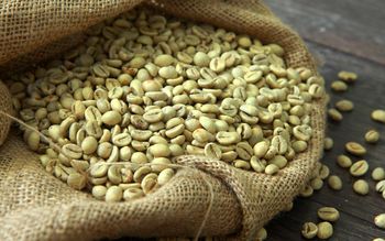 Robusta Coffee/Arabica Green Coffee Beans For Sale from JTENK GROUP COMPANY LIMITED Robusta Coffee/Arabica Green Coffee Beans For Sale - JTENK GROUP COMPANY LIMITED - Tanzania
