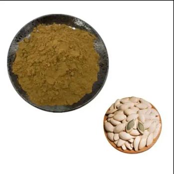Manufacture Pumpkin Seed Extract 20 1 100 Herbal Extract - Shanghai Baske Biotechnology Co., Ltd. - China