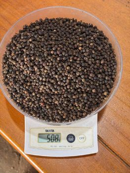 𝗩𝗜𝗘𝗧𝗡𝗔𝗠𝗘𝗦𝗘 𝗕𝗟𝗔𝗖𝗞 𝗣𝗘𝗣𝗣𝗘𝗥 from MANTIS AGRO 𝗩𝗜𝗘𝗧𝗡𝗔𝗠𝗘𝗦𝗘 𝗕𝗟𝗔𝗖𝗞 𝗣𝗘𝗣𝗣𝗘𝗥 - MANTIS AGRO - Vietnam