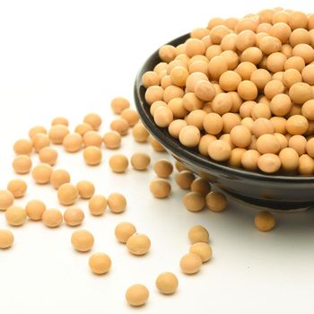 Natural Origin Soybean Seed With Careful Selection Process Supporting High Volume Soybean Seed Orders - AGRO AFRIQUE COMPANY LIMITED - Tanzania