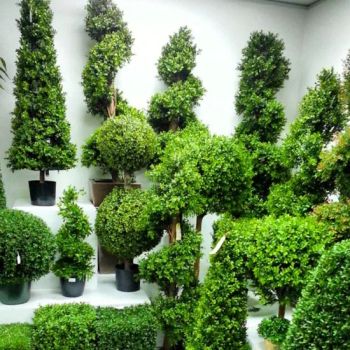 OEM Factory Customized Artificial Topiary Plant Decorative Artificial Plant Artificial Topiary Ball Artificial Green Plants Manufacturer in China - Cheng Yi Creation Company Ltd - China