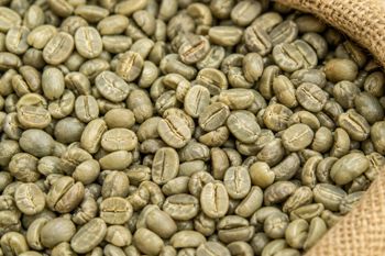 Indian Robusta Green Coffee Beans – Cherry & Parchment Grades from Prajwal Indian Robusta Green Coffee Beans – Cherry & Parchment Grades - Prajwal - India