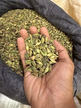 Organic Spices - Visual Blend - United Arab Emirates