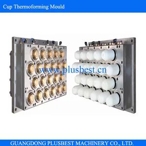 Plastic Cup Mould Thermoforming Mould - Guangdong Plusbest Machinery Co., Ltd. - China