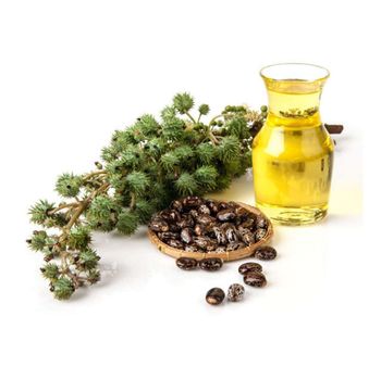 Castor Oil - 100% Pure, Refined, Non-GMO Cold Pressed Bulk Carrier Oil -  CALIPSO POLSKA SP Z OO  - Poland