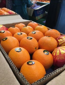 orange valencia & naval - EGYPTIAN FOR TRADING IMPORT & EXPORT CO. - Egypt
