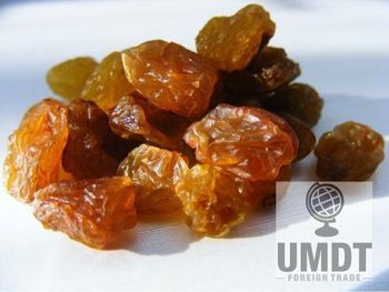 Raisins | Dried Grapes | Turkish sultanas - UMDT DRIED FRUITS - Turkey