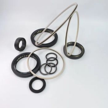Loading Arm Crane Cryogenic Seal Spring Lip Seal for Marine Loading Arm - Hebei SPT Seals Technology Co., Ltd. - China