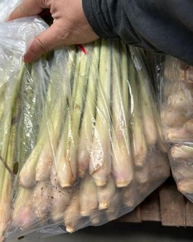 Lemongrass - Southern Fresh Food - Vietnam