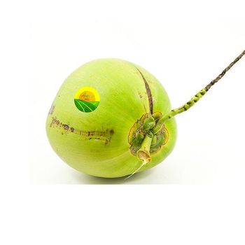 Product – product photo, Green Mango products found from trusted suppliers, wholesalers, manufacturers & exporters Listing
