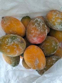 IQF Frozen Whole Mango Keitt Organic No Origin Egypt Degree Of Maturity Mature Degree of Processing Frozen - Alshrouq crops - Egypt