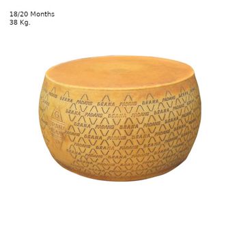 Best quality made in Italy 18-20 months slow maturation whole cheese 38 Kg. Grana Padano hard italian cheese - Zabo form Srl - Italy