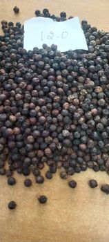 Black Pepper - Ashapura exporters - South Africa
