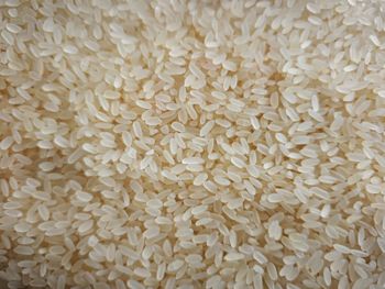 5 % broken parbloiled rice long and short grain both from M 5 % broken parbloiled rice long and short grain both – product photo, 5% Broken Rice products found from trusted suppliers, wholesalers, manufacturers & exporters Listing