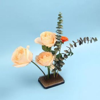 KZ-D50 Copper Kenzan Frog Flower Frog 127Pins 200g MOQ500 1Y Pins 127 MOQ 500PCS Weight 200g Sample Offer Origin China Material Copper - Jiangsu Smile Tools Co., Ltd. - China