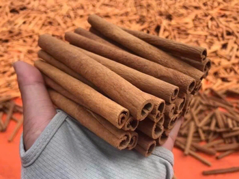 Ceylon Cinnamon Sticks - Viet Delta Industrial Co., Ltd. - Vietnam