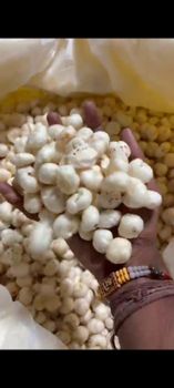 Makhana from Nilam Delights Makhana – product photo, Makhana Nuts products found from trusted suppliers, wholesalers, manufacturers & exporters Listing