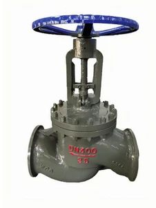Premium Stainless Steel Worm Gear Flange with Warranty - Nanjing Zhongxun Pipeline Equipment Co., Ltd - China