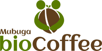Green coffee beans Grade A from Mubugabio coffee Green coffee beans Grade A - Mubugabio coffee - Rwanda