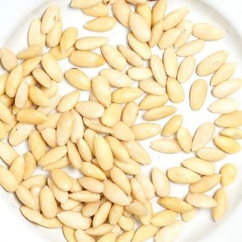 Organic Raw Blanched Almonds Freshly Grown Sweet Nuts Nutrient-dense for Sale at Low Cost Best Price For Sale - TRADECENTRIC LLC - United States