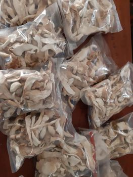 mushrooms Address Douala Type fresh and dried Quality high quality Delivery Locations Yaoundé, Douala, Buea Form Fresh Whole Mushrooms, Dried Mushrooms - Cameroon Agricultural Compant Ltd - Cameroon