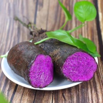 New Crop Delicious Chinese Yam Fresh Yam Dia 2 3cm  - Jining New SILK ROAD Food Co., Ltd. - China