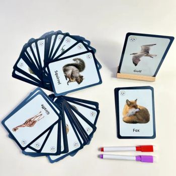 Educational Talking Flash Cards for Kids Cognitive Cards Children Learning Sight Game Toy Flashcards Animals Words Playing Cards - Xiamen Folover Import &Export Co., Ltd. - China